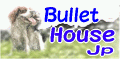 Bullet House Jp ybĝƂȂ炨CB